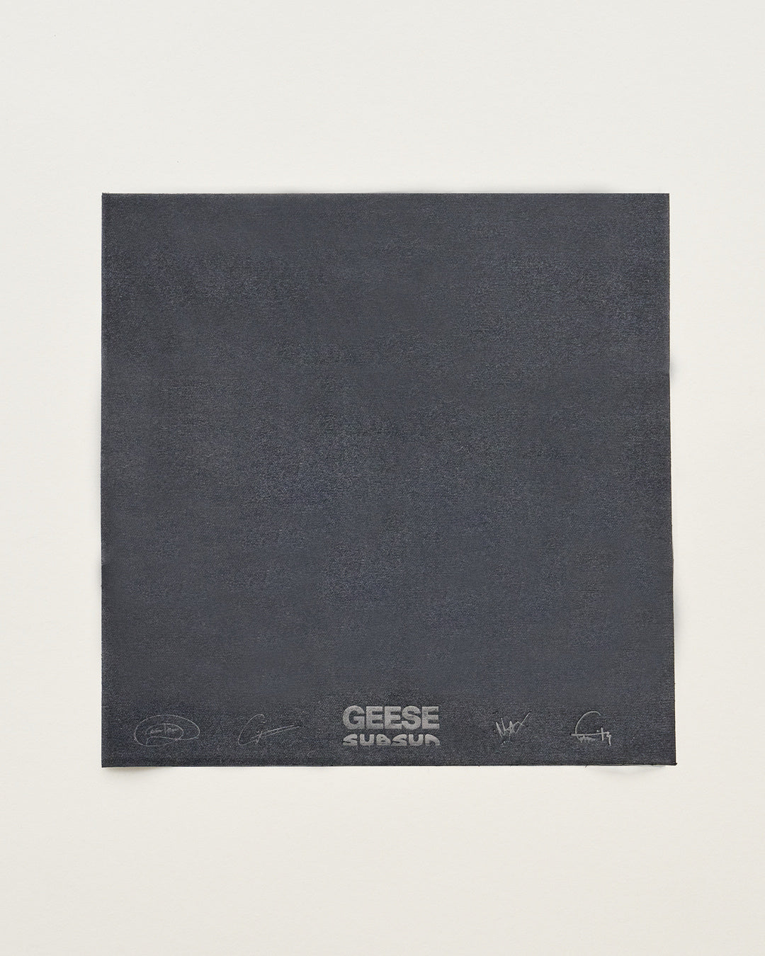 Geese x Sub Sun