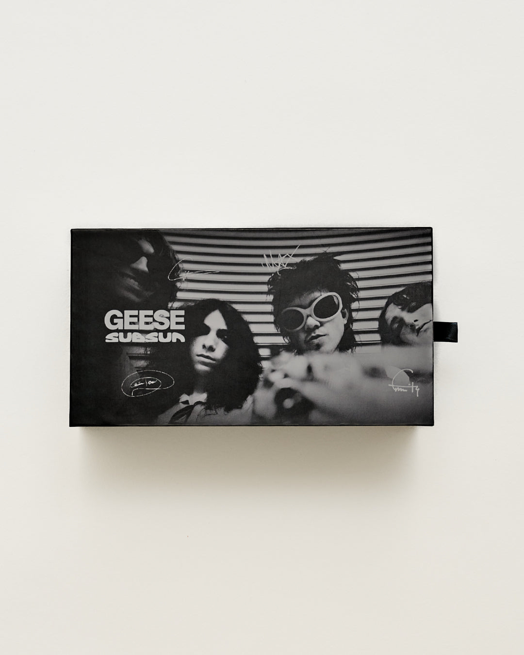 Geese x Sub Sun